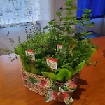 Casa Agricola Do Limonete * فيغيورا دا فوز
