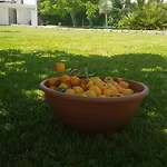 Casa Agricola Do Limonete فيغيورا دا فوز