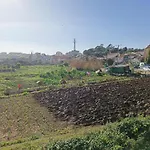 Casa Agricola Do Limonete بيت للعطل