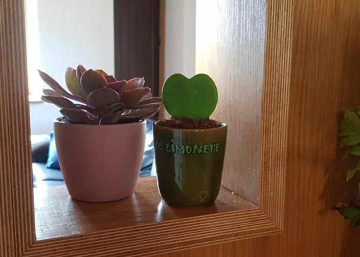 Casa vacanze Casa Agrícola Do Limonete *