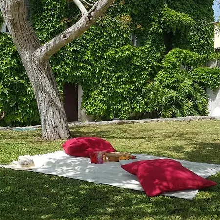 Сasa de vacaciones Casa Agrícola Do Limonete