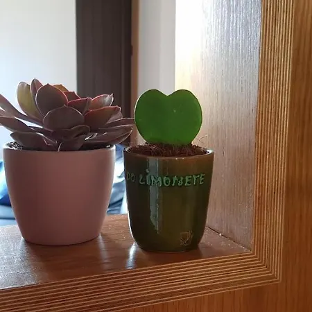 Сasa de vacaciones Casa Agrícola Do Limonete *