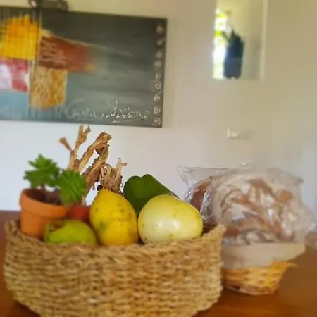 Casa Agricola Do Limonete Casa de Férias *