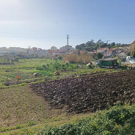 Casa Agricola Do Limonete Casa de Férias