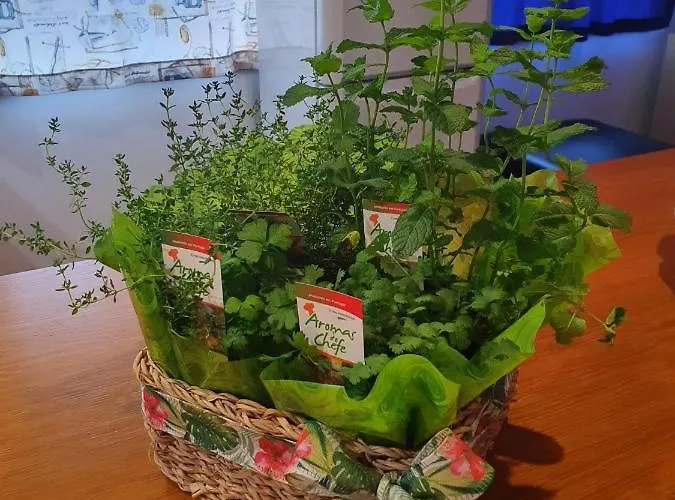 Casa Agricola Do Limonete * فيغيورا دا فوز