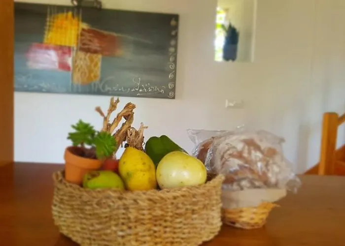 Casa Agricola Do Limonete بيت للعطل *
