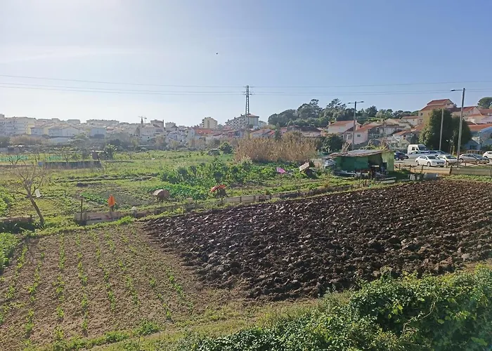 Casa Agricola Do Limonete بيت للعطل